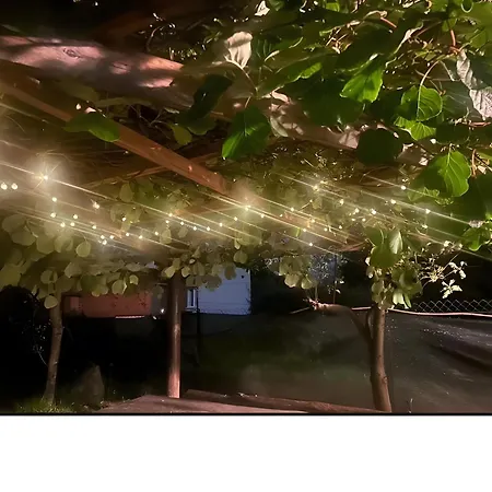 Casa Arianna Lejlighed *